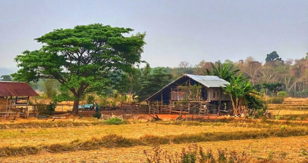 A typical Thai small farm, though Khun Yai is more garden than farm.