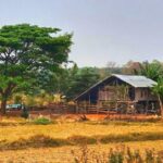 A typical Thai small farm, though Khun Yai is more garden than farm.